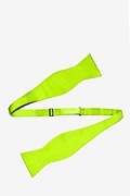 Lime Green Self-Tie Bow Tie Photo (1)