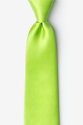 Lime Green Tie Photo (0)