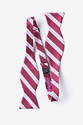 Jefferson Stripe Maroon Self-Tie Bow Tie Photo (1)