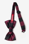 Maroon & Black Stripe Pre-Tied Bow Tie Photo (1)