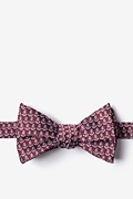Small Anchors Maroon Self-Tie Bow Tie Photo (0)