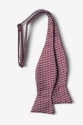Small Anchors Maroon Self-Tie Bow Tie Photo (1)