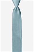 Mineral Blue Skinny Tie Photo (0)