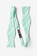 Katy Mint Green Self-Tie Bow Tie Photo (1)