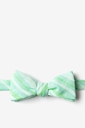 Katy Mint Green Skinny Bow Tie Photo (0)