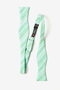 Katy Mint Green Skinny Bow Tie Photo (1)