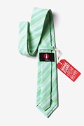 Katy Mint Green Tie Photo (2)