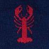 Navy Blue Carded Cotton Great Catch Small-Medium Sock
