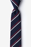 Beasley Navy Blue Skinny Tie Photo (0)