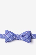 Seattle Navy Blue Skinny Bow Tie Photo (0)