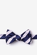 Navy Blue Microfiber Jefferson Stripe