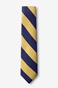 Navy & Gold Stripe