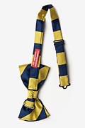 Navy & Gold Stripe Navy Blue Pre-Tied Bow Tie Photo (1)