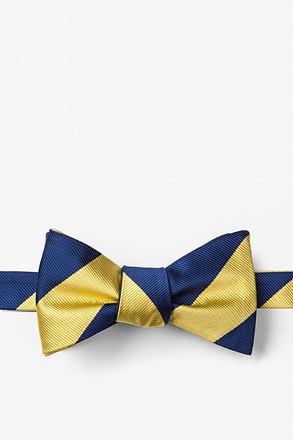 Navy & Gold Stripe Navy Blue Self-Tie Bow Tie