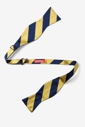 Navy & Gold Stripe Navy Blue Self-Tie Bow Tie Photo (1)
