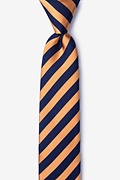 Bandon Navy Blue Skinny Tie Photo (0)