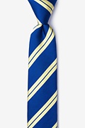 Blackwater Navy Blue Skinny Tie Photo (0)