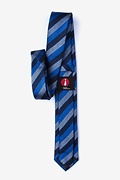 Deel Navy Blue Skinny Tie Photo (1)