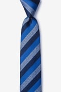 Deel Navy Blue Skinny Tie Photo (0)