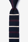 Roman Stripe Navy Blue Knit Skinny Tie Photo (0)