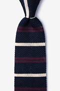 Roman Stripe Navy Blue Knit Tie Photo (0)