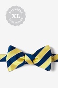 Scoula Navy Blue Self-Tie Bow Tie Photo (0)