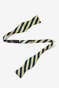 Scoula Navy Blue Self-Tie Bow Tie Photo (1)