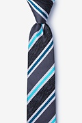 Shannon Navy Blue Skinny Tie Photo (0)