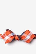 Kennewick Orange Diamond Tip Bow Tie Photo (0)