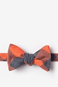 Kent Orange Self-Tie Bow Tie Photo (0)