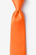 Orange Dream Extra Long Tie Photo (0)