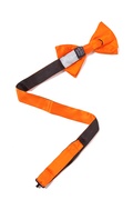 Orange Dream Pre-Tied Bow Tie Photo (1)