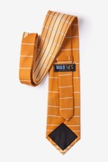 Guitar Fretboard Orange Tie Photo (1)