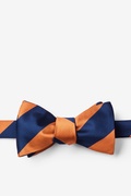 Orange & Navy Stripe Self-Tie Bow Tie Photo (0)