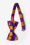 Orange & Purple Stripe Pre-Tied Bow Tie Photo (1)