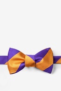 Orange & Purple Stripe Self-Tie Bow Tie Photo (0)