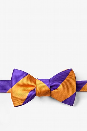 Orange & Purple Stripe Self-Tie Bow Tie