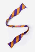 Orange & Purple Stripe Self-Tie Bow Tie Photo (1)