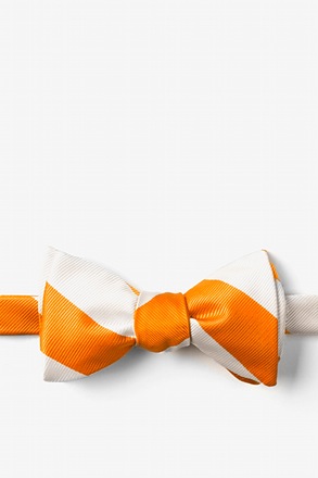 _Orange and White Stripe Self-Tie Bow Tie_