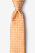 Cape Cod Orange Extra Long Tie Photo (0)