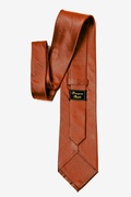 Orange Revitalize Extra Long Tie Photo (1)
