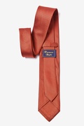 Orange Revitalize Tie For Boys Photo (1)