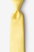 Pale Lemon Extra Long Tie Photo (0)