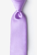 Passion Purple Extra Long Tie Photo (0)