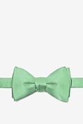 Peapod Green Self-Tie Bow Tie Photo (0)