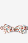 Lennox Floral Pink Batwing Bow Tie Photo (0)