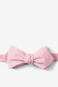 Pink Chamberlain Check Diamond Tip Bow Tie Photo (0)