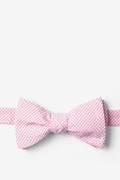 Pink Chamberlain Check Self-Tie Bow Tie Photo (0)