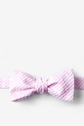 Pink Kensington Seersucker Batwing Bow Tie Photo (0)