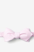 Pink Kensington Seersucker Diamond Tip Bow Tie Photo (0)